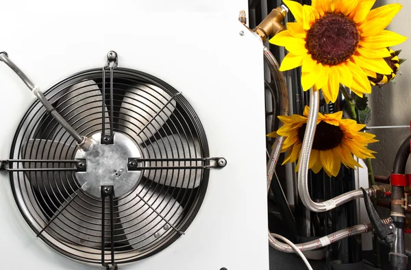 Чистый вентилятор с красивыми цветами — стоковое фото