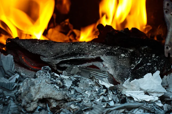 stock image Flame burning in barrel with papers