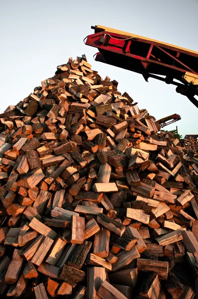 Fire wood — Stock Photo, Image