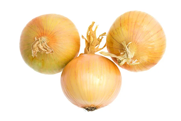 stock image Fresh onions, isolated on a white background