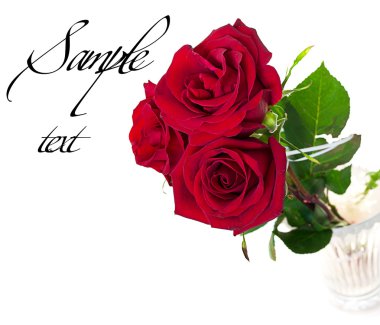 A beautiful bouquet of three red roses with sample text clipart