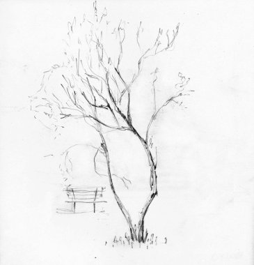 Bir ağacın çizimi