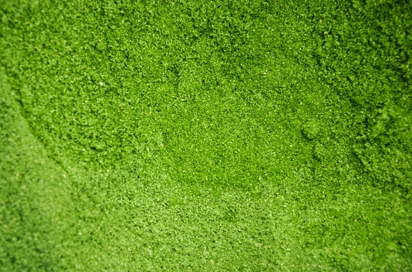 Yeşil kum doku — Stok fotoğraf