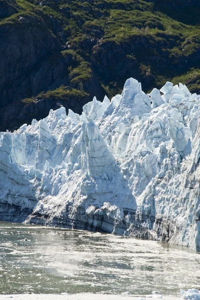阿拉斯加冰川湾 免版税图库图片