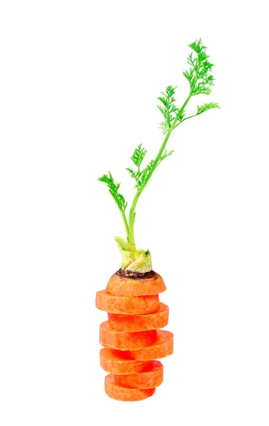 Cortar la zanahoria — Foto de Stock