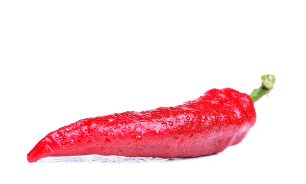 Pimentão quente vermelho — Fotografia de Stock