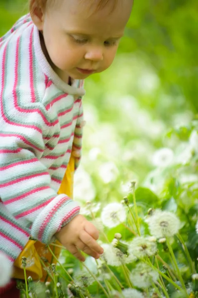 Un ritratto di un piccolo bambino carino nell'erba — Foto Stock
