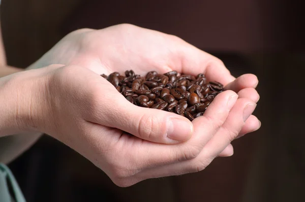Kaffebönor på händerna — Stockfoto
