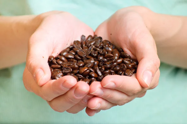Granos de café en las manos —  Fotos de Stock