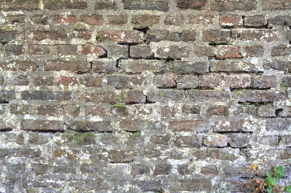 Old Brick Wall — Stock Photo, Image
