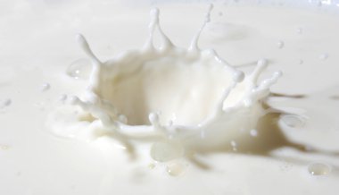 Süt Sıçratma