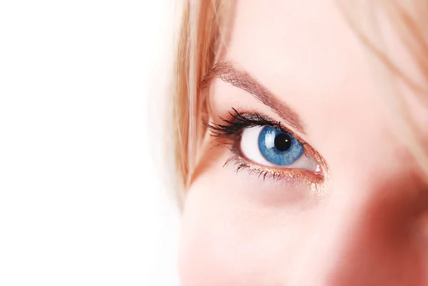 Makro blauer Augen — Stockfoto