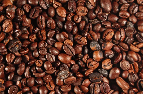 Coffee beans 01 — Stock Photo, Image