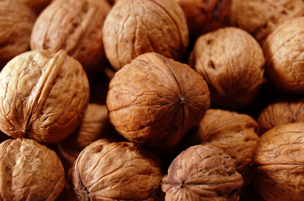 stock image Walnuts