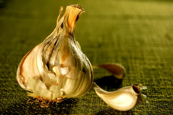 stock image Garlic