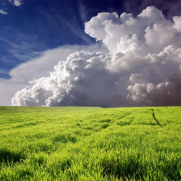 緑の草原と白い雲 — ストック写真