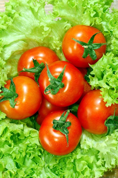 토마토와 신선한 샐러드 — 스톡 사진