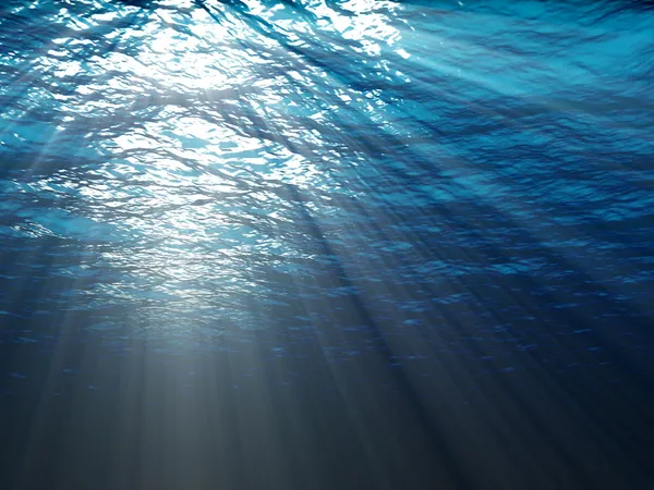 Подводная сцена — стоковое фото