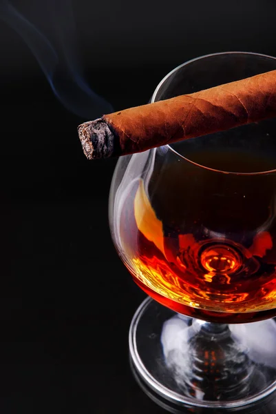 stock image Glass of cognac