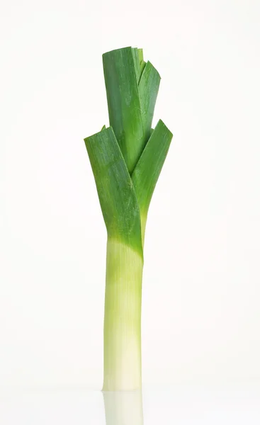 stock image Fresh leek