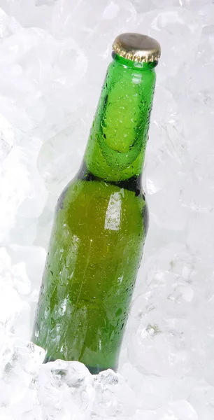 Пляшка пива на льоду — стокове фото