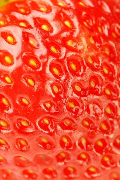 Fresa fresca — Foto de Stock