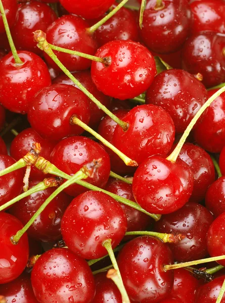 Bunch of fresh cherries — Stock Photo, Image