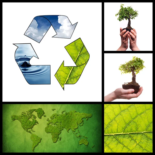 Collage ambiental — Foto de Stock