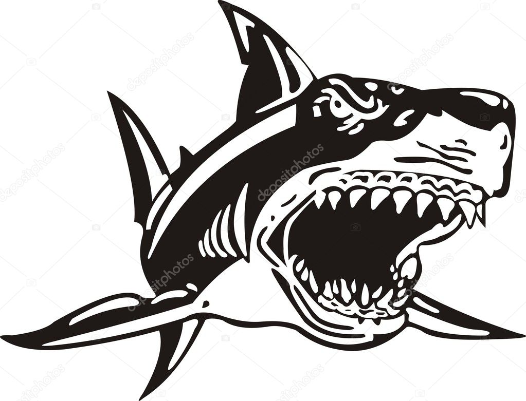 Download Attacking shark — Stock Vector © Xendima #7110531