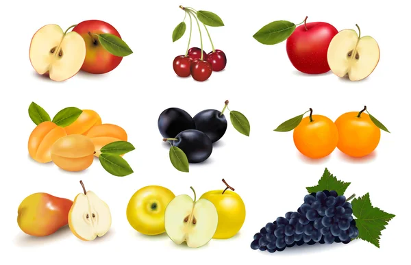 Gruppo con diversi tipi di frutta. Vettore — Vettoriale Stock