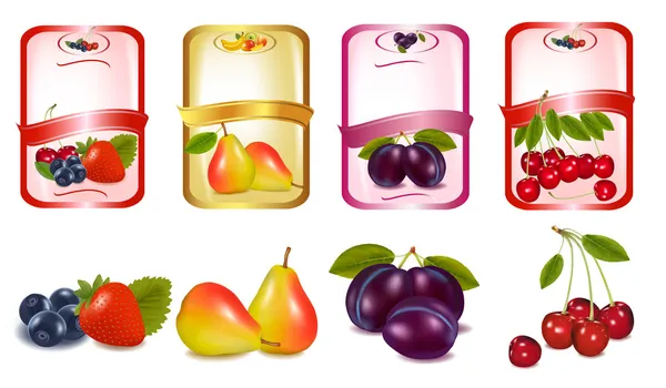 Vier Etiketten mit Beeren und Früchten. Vektor. — Stockvektor
