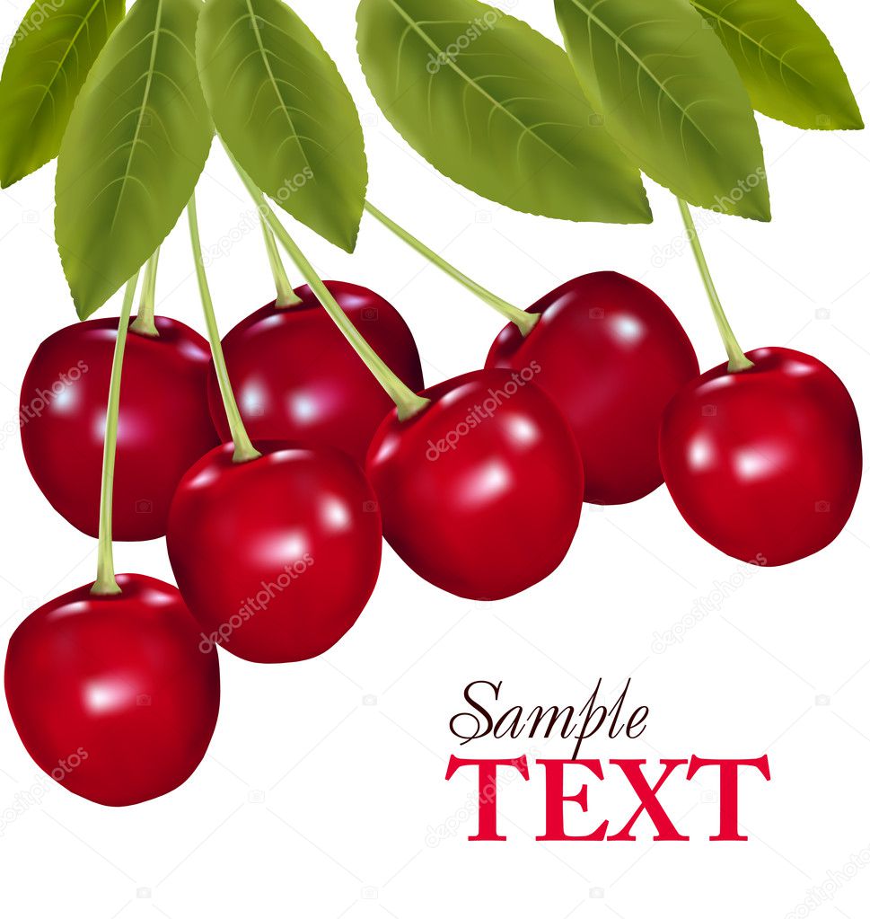 Bunch of fresh, juicy, ripe cherries. Vector illustration.
