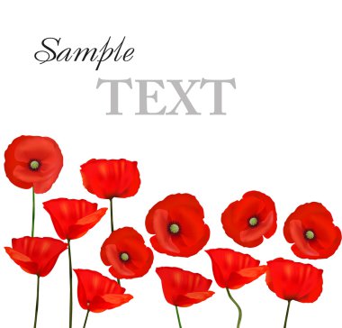 Background with beautiful red poppies. Vector illustration clipart
