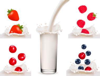 Raspberry and strawberry falling into the milk splash. Vector illustration. clipart