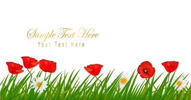 Background with beautiful red poppies and plant. Vector illustration clipart