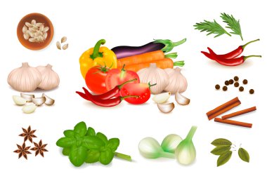 Set with spices and vegetables. Vector illustration. clipart