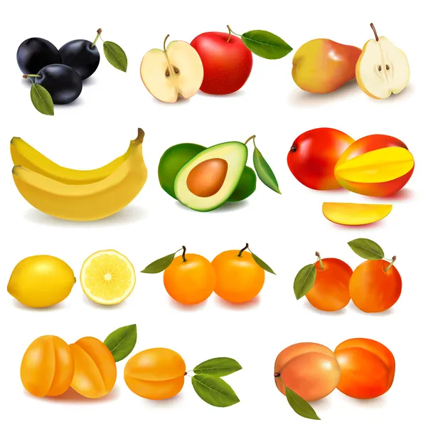 Grupo con diferentes tipos de frutas. Vector . — Archivo Imágenes Vectoriales