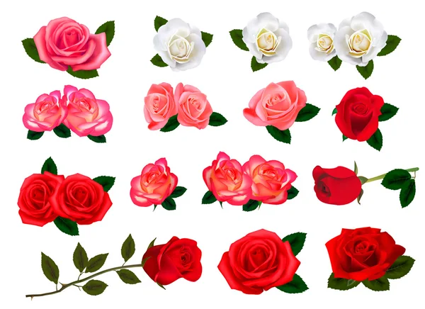 Set di bellissimi fiori su sfondo bianco. Vettore . — Vettoriale Stock