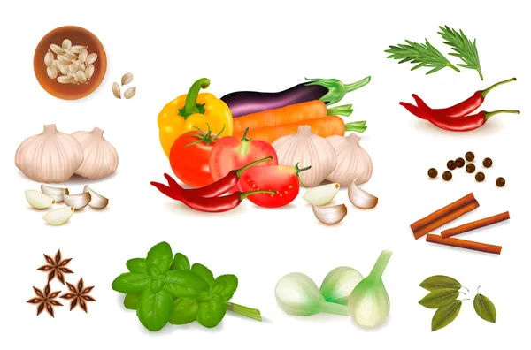 Set con especias y verduras. Ilustración vectorial . — Vector de stock