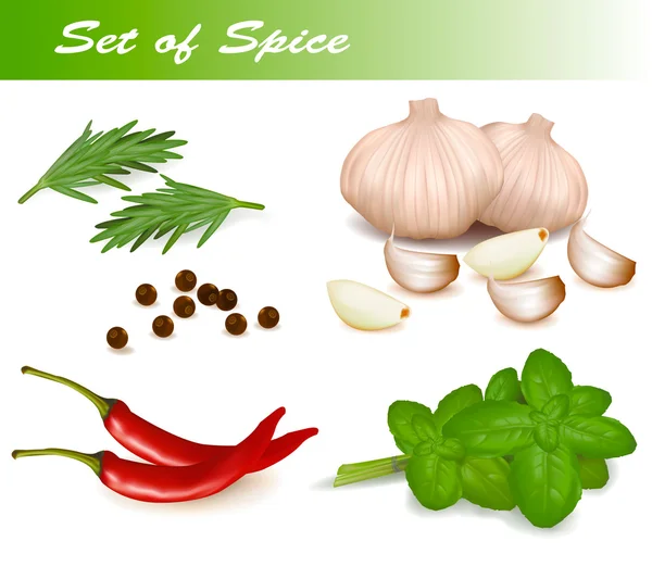Set with spices and vegetables. Vector illustration. — Stock Vector