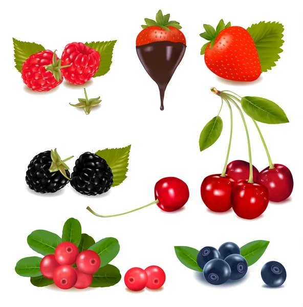 Group of berries. — Stock Vector