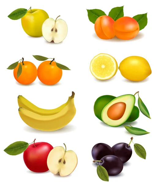 Grupo com diferentes tipos de frutas. Vetor . — Vetor de Stock