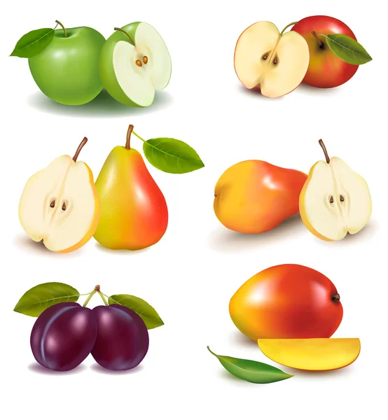 Grupo com diferentes tipos de frutas. Vetor . — Vetor de Stock