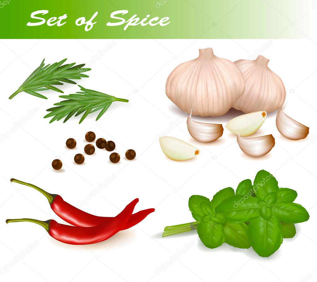 Set with spices and vegetables. Vector illustration.