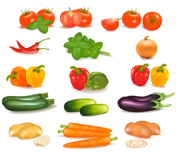 Duża grupa kolorowy warzyw. — Wektor stockowy