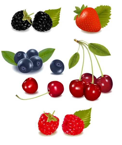 Group of berries and cherries. — Stock Vector