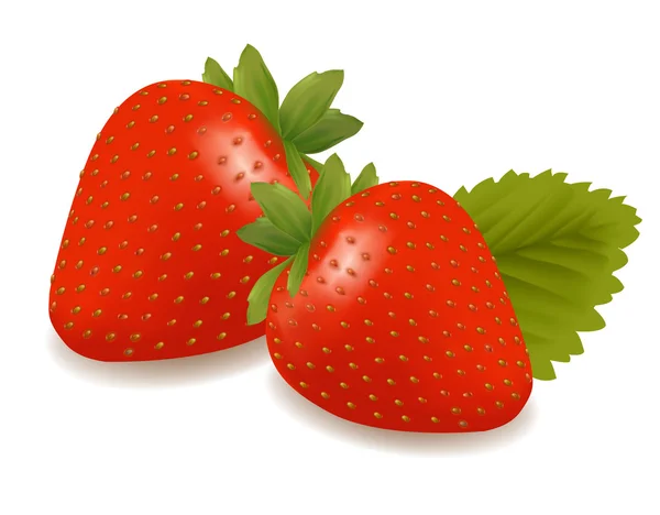 Deux fraises avec des feuilles. Vecteur . — Image vectorielle