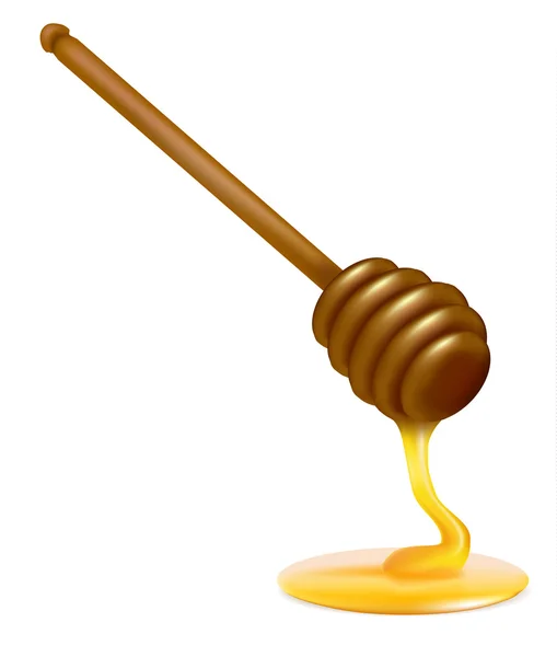 Une trempette au miel. Illustration vectorielle photo-réaliste — Image vectorielle