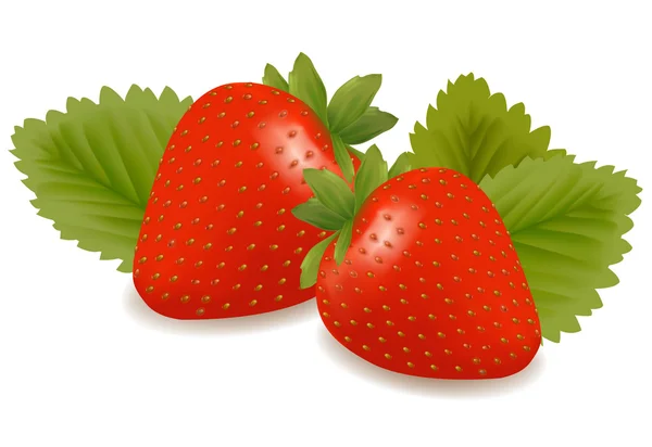 Deux fraises avec des feuilles. Vecteur . — Image vectorielle