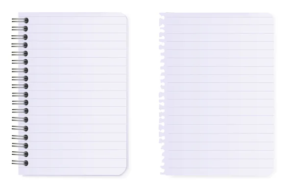 Cuaderno en espiral y papel de nota. Vector . — Vector de stock